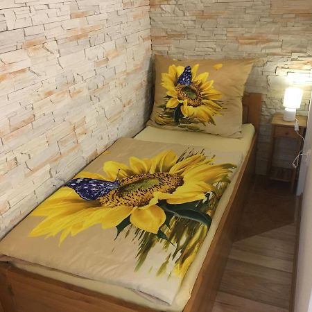 Apartman Slunecnice S Terasou Чешка Будьовица Екстериор снимка